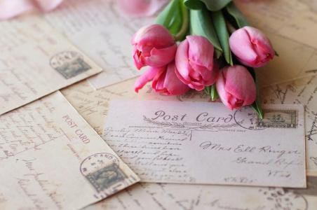 郁金香，信件，明信片，邮票，花束壁纸