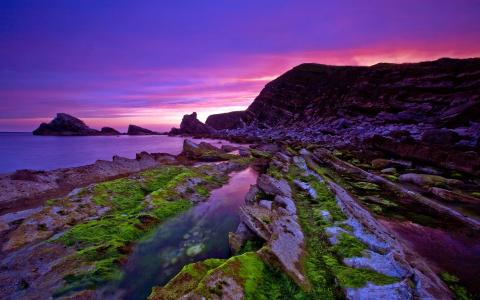 美丽的紫色日落海岸壁纸