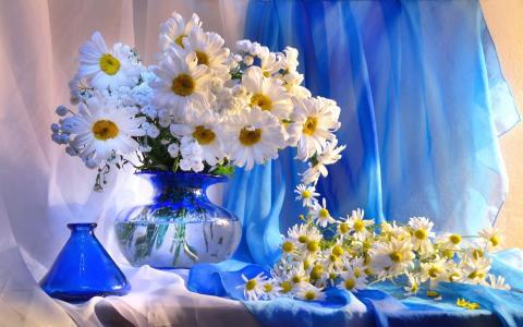 雏菊，花瓶，鲜花，花束，装饰壁纸