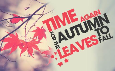 时间再次秋天的树叶壁纸