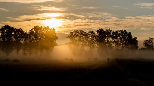 早晨，日出，云朵，树木，雾壁纸