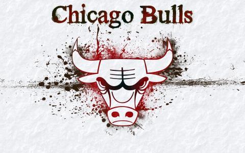 芝加哥公牛，篮球，NBA壁纸