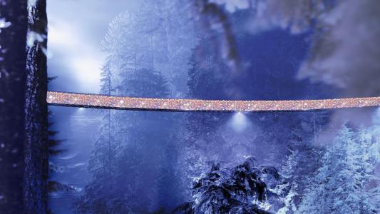 美妙的卡皮拉诺悬索桥在圣诞节壁纸