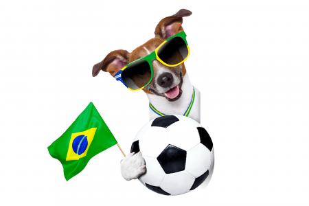 国际足球联合会世界杯，巴西，2014年，狗，球壁纸