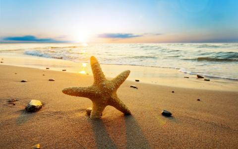 海星在日落海滩，大海，太阳壁纸