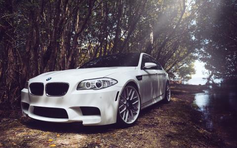 在森林墙纸的BMW M5 F10白色汽车