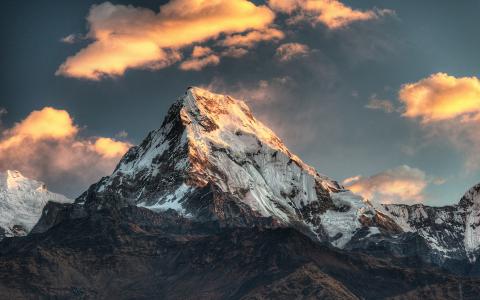 尼泊尔潘山，山，雪壁纸