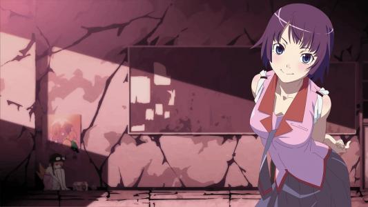 Senjougahara Hitagi，物语系列，动漫女孩，紫色的头发壁纸