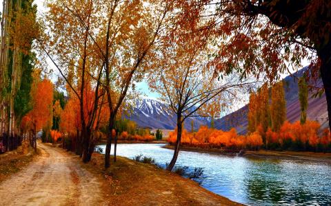 秋天的景色，树木，红叶，湖，路径，山壁纸