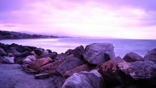 在卡利的半月湾在紫色墙纸