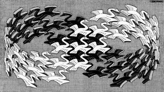 米歇尔·埃舍尔，单色，迷幻，动物，鸟，飞行，3D，莫比乌斯地带壁纸
