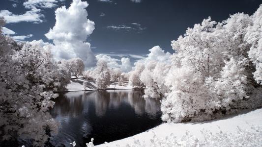 白雪覆盖的树和池塘高清壁纸