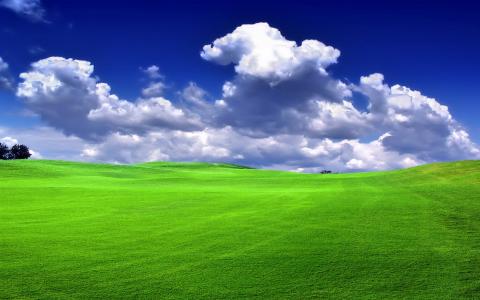 蓝色的天空绿草壁纸壁纸