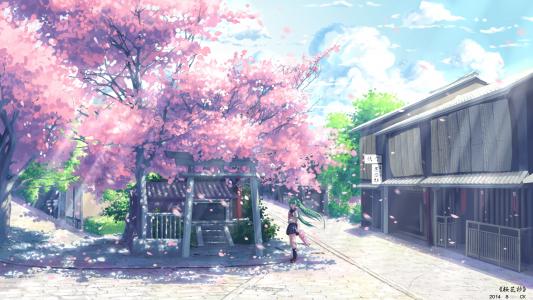 Vocaloid，Hatsune Miku，动漫，樱花壁纸
