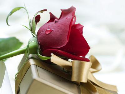 情人节那天红玫瑰和礼物壁纸