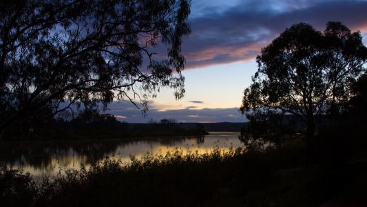 澳大利亚，草，树，天空，云，河，黎明，水中的倒影壁纸