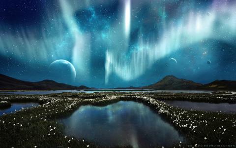 极光北极光北极光风景夜晚的星星花沼泽草行星高清壁纸