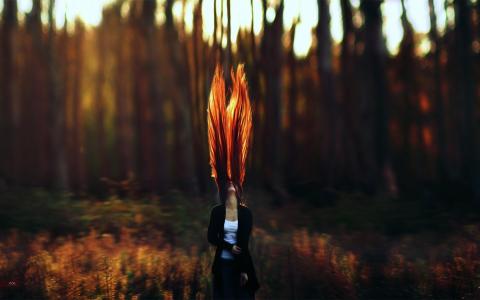 红发，妇女，森林，长长的头发，有风，卷曲的头发，查寻，阳光，景深墙纸