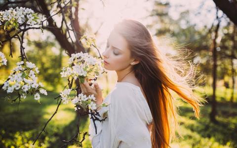 女孩头发在风中，太阳光线，春天，白色的花朵壁纸