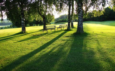 板凳阳光阴影树草高尔夫球场高清壁纸