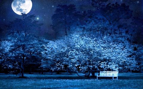 蓝色长凳树公园月亮高清壁纸