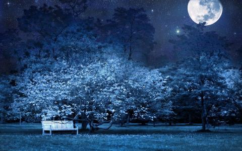 晚上，长凳，公园，树木，星星，满月，天空，光，黑暗壁纸