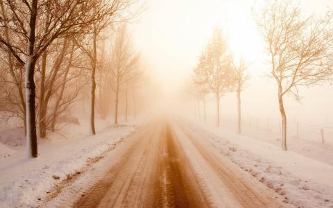 冬天，雪，路，雾，早上壁纸