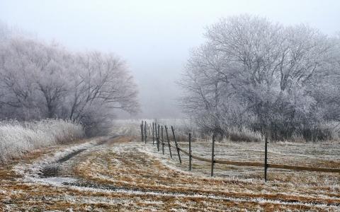 晨雾，树木，田野，篱笆壁纸