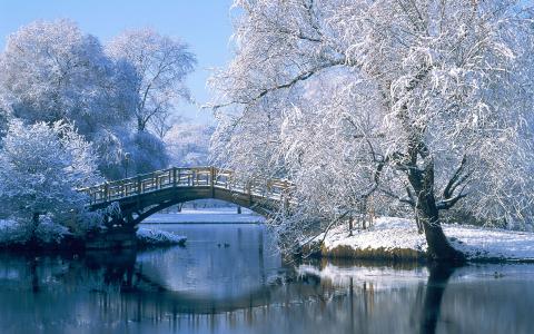冬季公园大桥高分辨率JPEG壁纸