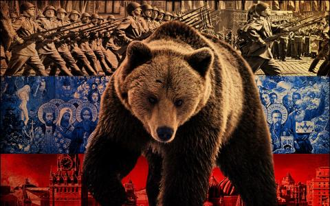 俄罗斯熊壁纸