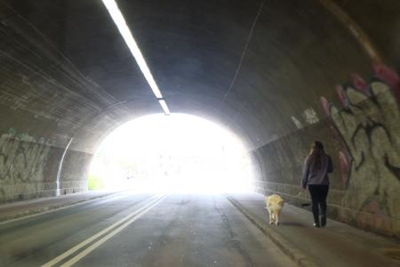 隧道，行人，狗壁纸