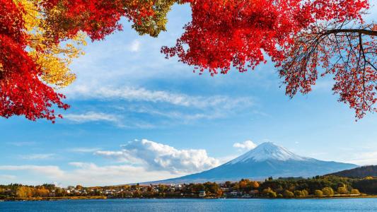 富士，天空，云，树，树叶，河流，风景壁纸