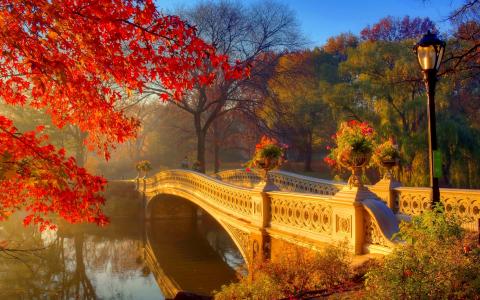 秋日公园，清晨，河流，桥梁，树木，鲜花壁纸