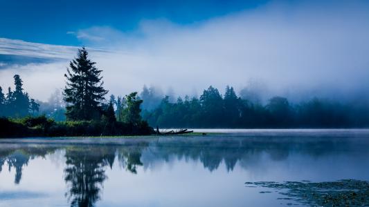 湖，雾，性质，景观，蓝色，平静，早上，树木壁纸