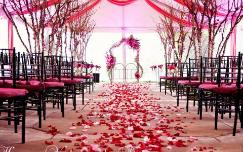 红色和粉红色的婚礼主题壁纸