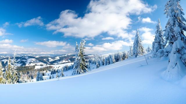 唯美冬季意境雪景壁纸