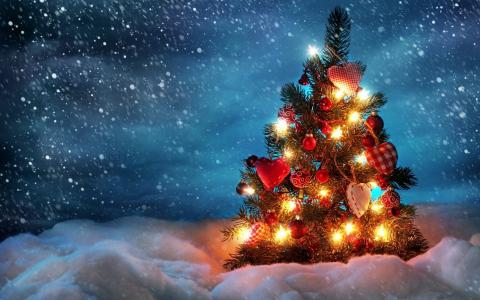灯光，夜，雪，假日，冬天，圣诞树，冷墙纸