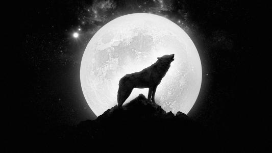 狼在满月的壁纸上嚎叫