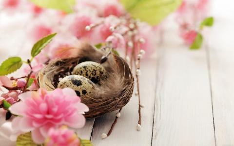 鸟巢与鸡蛋和粉红色的花朵壁纸