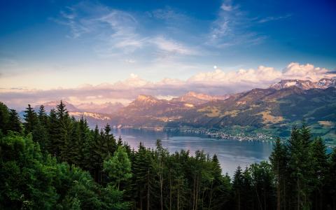 瑞士，苏黎世湖，山，森林，云壁纸
