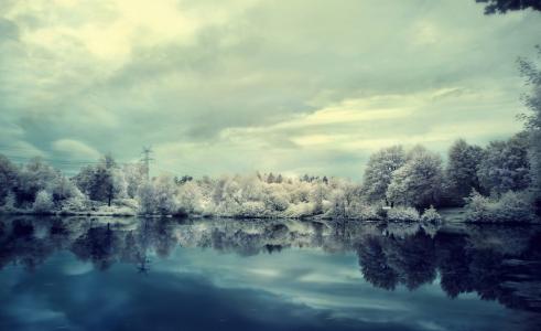 冬天，湖，树木，弗罗斯特，性质，风景壁纸