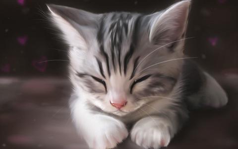 艺术水彩，可爱的猫睡觉壁纸