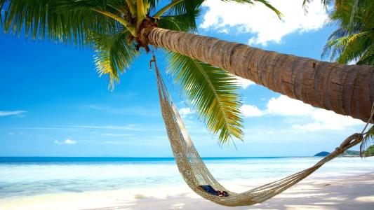 海滩，椰子树，吊床，蓝色的大海天空风景壁纸