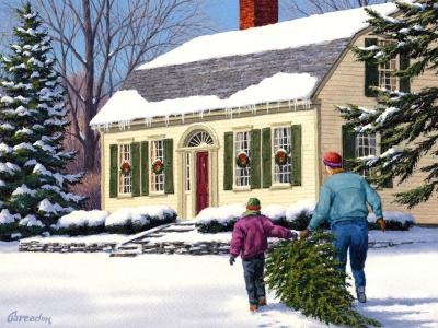 新的一年，圣诞节，毛皮树，属性，卡，家庭壁纸
