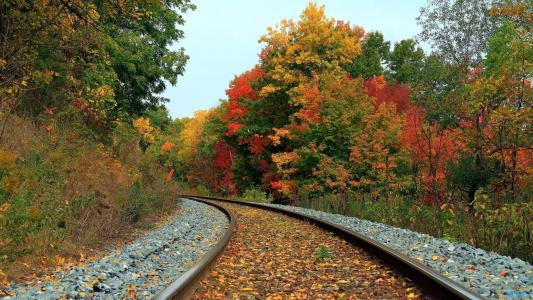 火车轨道通过秋天森林墙纸