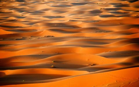 非洲，摩洛哥，沙漠，撒哈拉沙丘壁纸