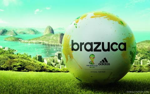 国际足联世界杯2014年阿迪达斯Brazuca比赛球壁纸