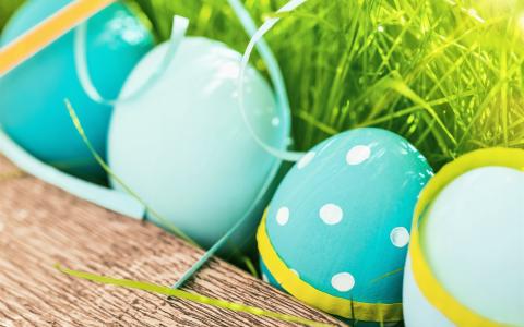 复活节快乐，蓝色鸡蛋，草，春天壁纸