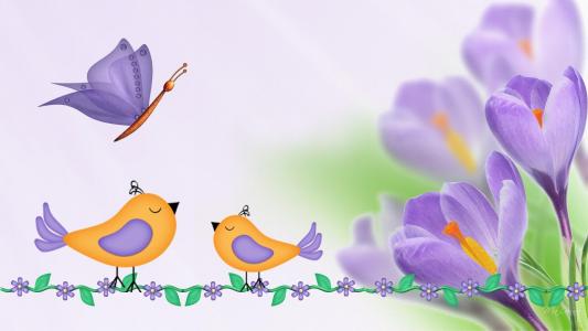 紫色番红花鸟蝴蝶壁纸