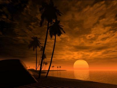 热带的摩羯座海滩月亮棕榈树夕阳高清壁纸
